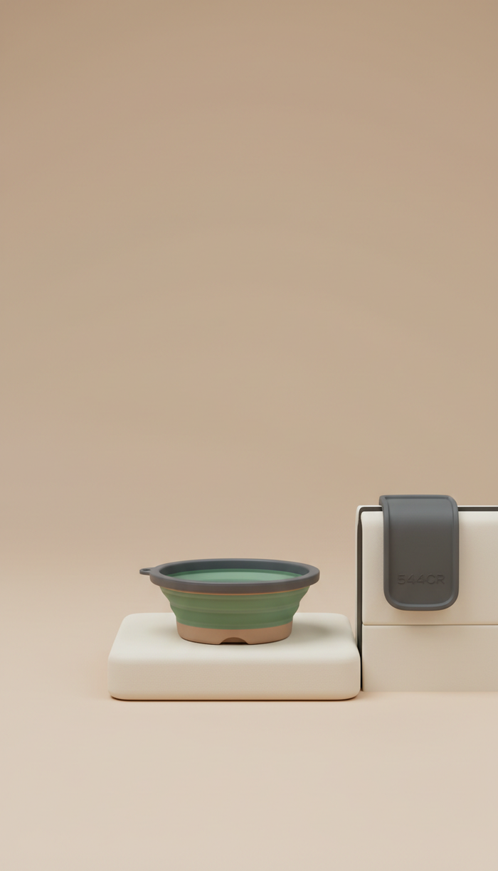 Collapsible Silicone Travel Bowl